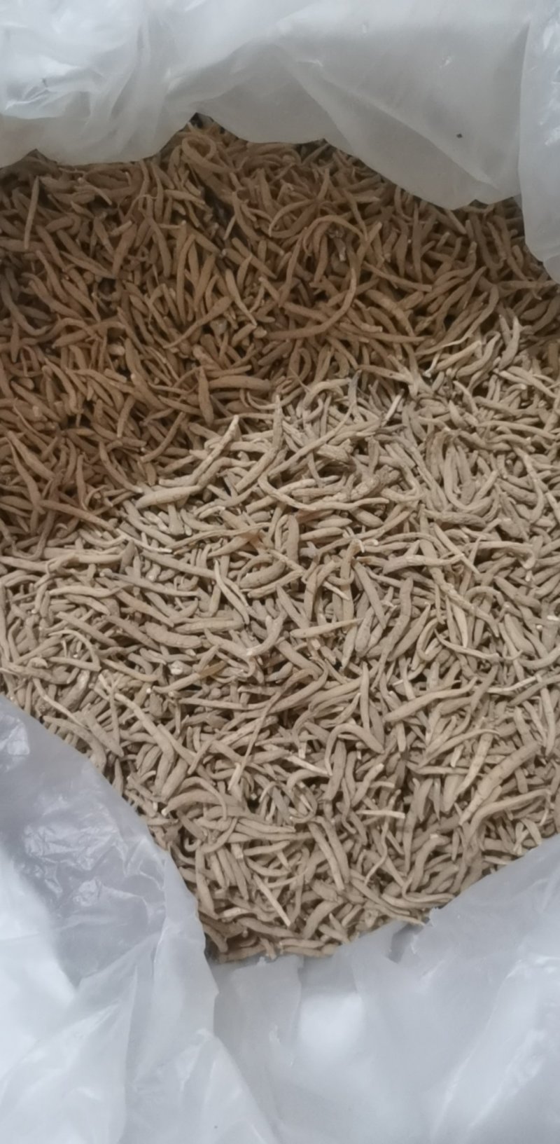 振兴药材批发供应太子参规格齐全产地直供一手货源全国发货