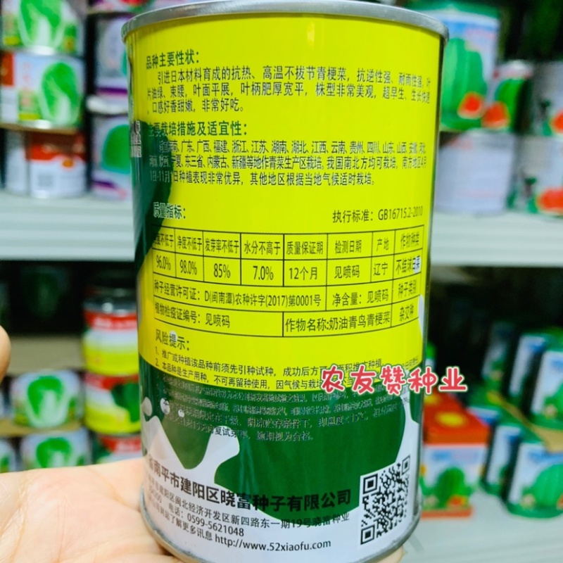 奶油青鸟青梗菜种子超耐热高温不拔节甜嫩好吃青菜种子