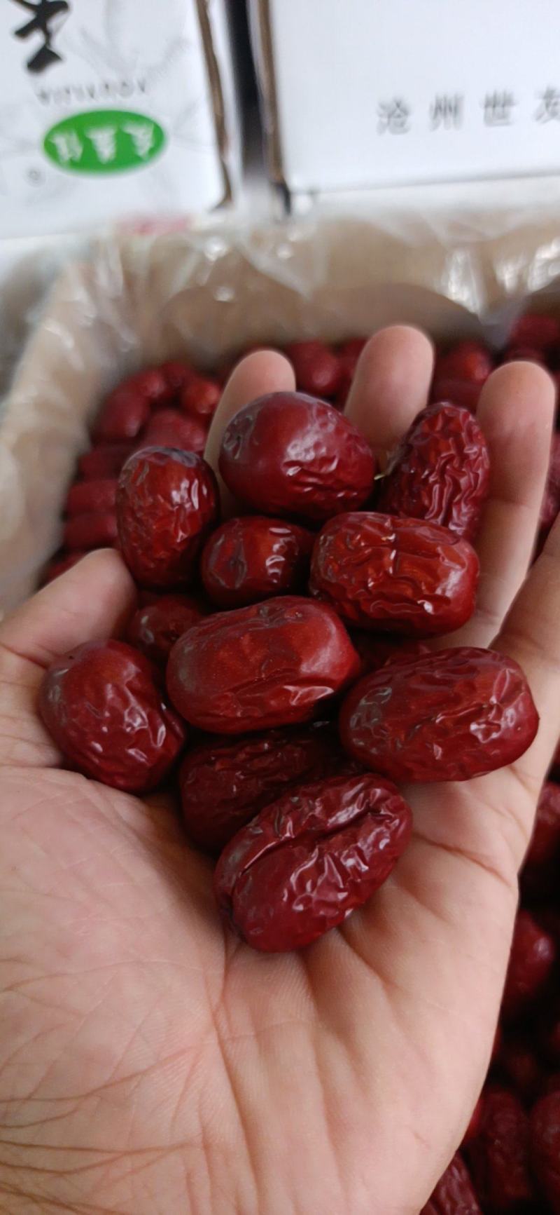 红枣新疆红枣（灰枣，水洗枣）新疆特产枣类全类目