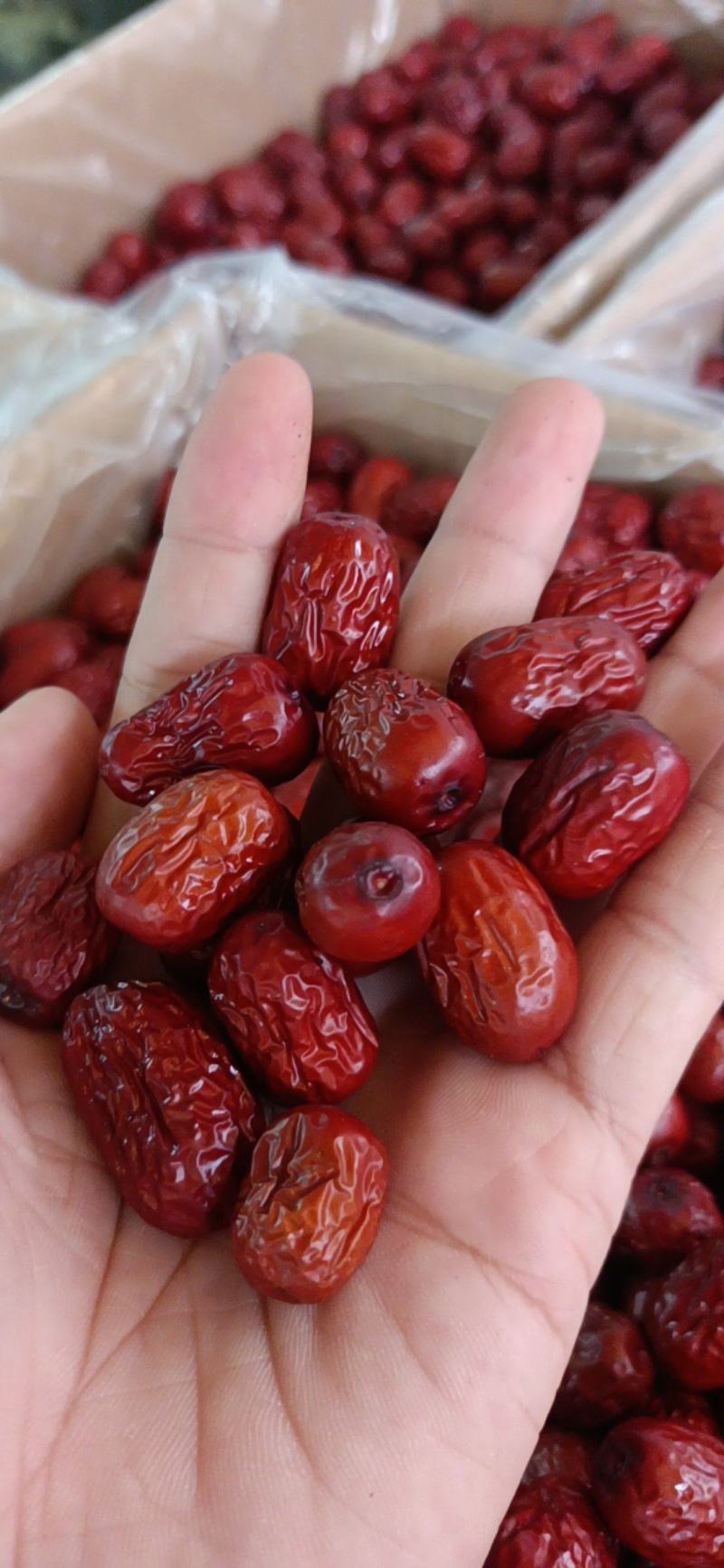 红枣新疆红枣（灰枣，水洗枣）新疆特产枣类全类目