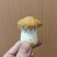姬松茸（新鲜）不空心，大小均匀，短粗壮，全年有货