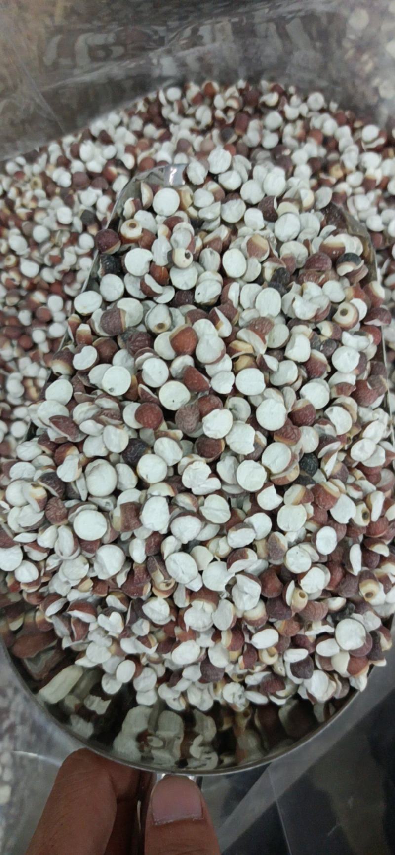芡实米，开边芡实，肇庆芡实，芡实