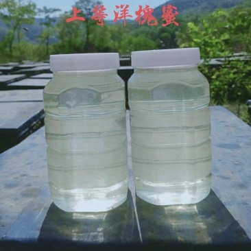 2022新蜜蜂蜜洋槐蜜山花荆条枣花本蜂蜜80斤一桶包邮