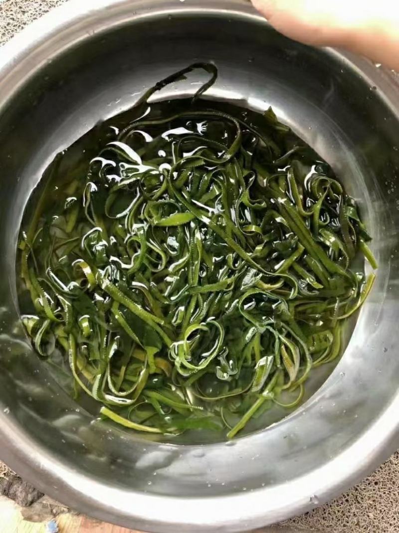 海带丝干海带丝泡发率高颜色绿跑量产品