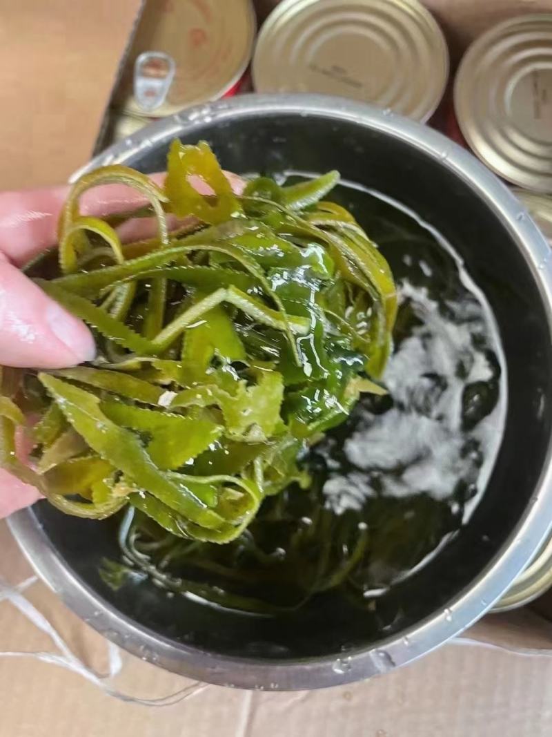 海带丝干海带丝泡发率高颜色绿跑量产品