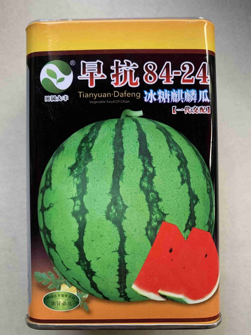 早抗8424冰糖麒麟瓜西瓜种子，50克，早熟抗病抗裂