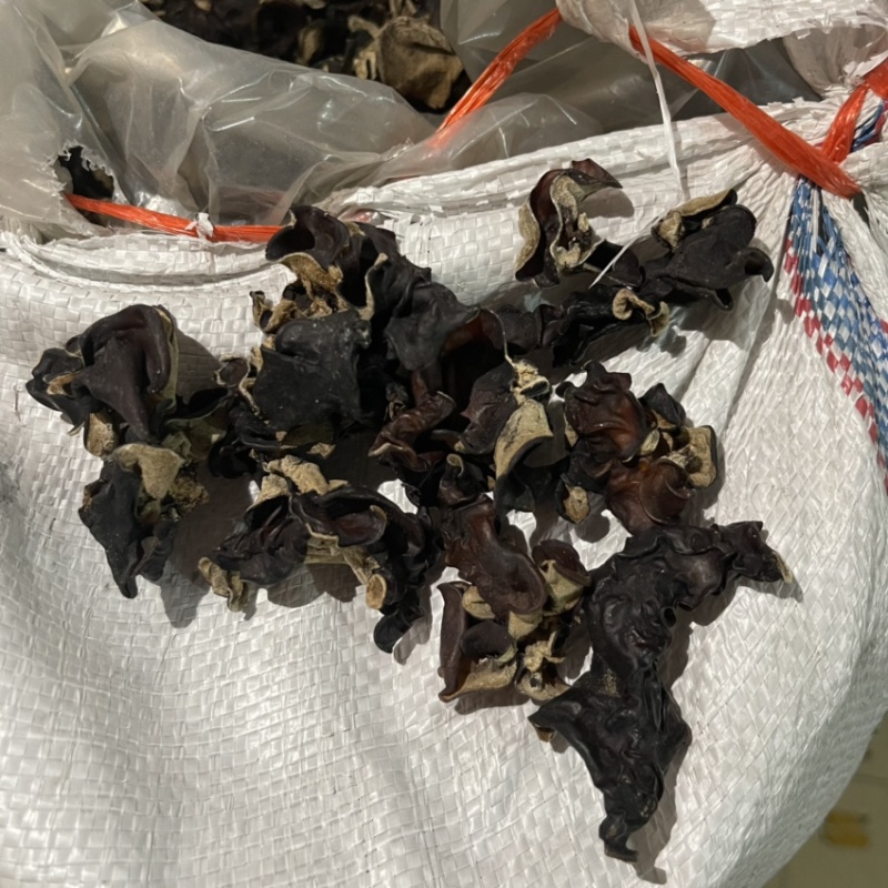 毛木耳干货通货一件50斤农副产品跑江湖展销会地摊
