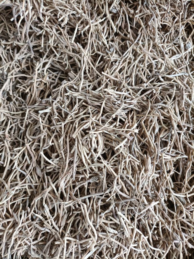 麦冬
