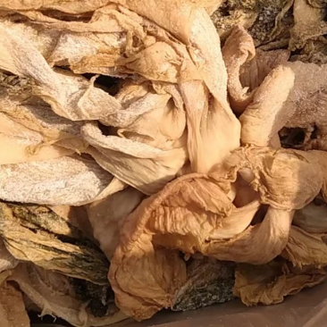 横县特产，横县梅菜，量大，价格优惠，便宜