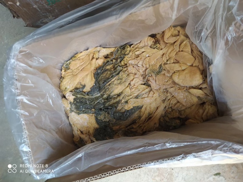 横县特产，横县梅菜，量大，价格优惠，便宜