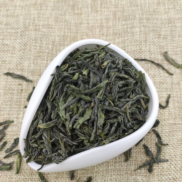 精品耐泡内山六安瓜片