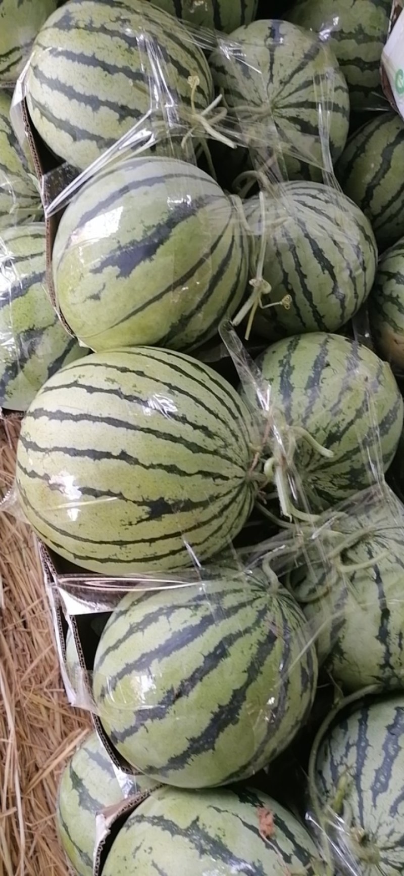 8424装车中，口感好，甜度高，质量保证