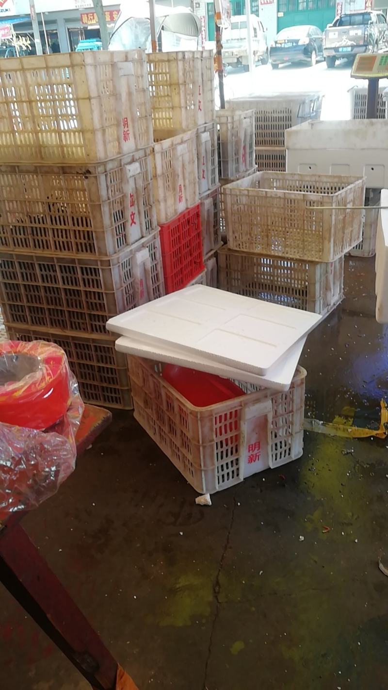 湖南岳阳小龙虾产地直销价格优惠餐饮店饭店酒店供应深水