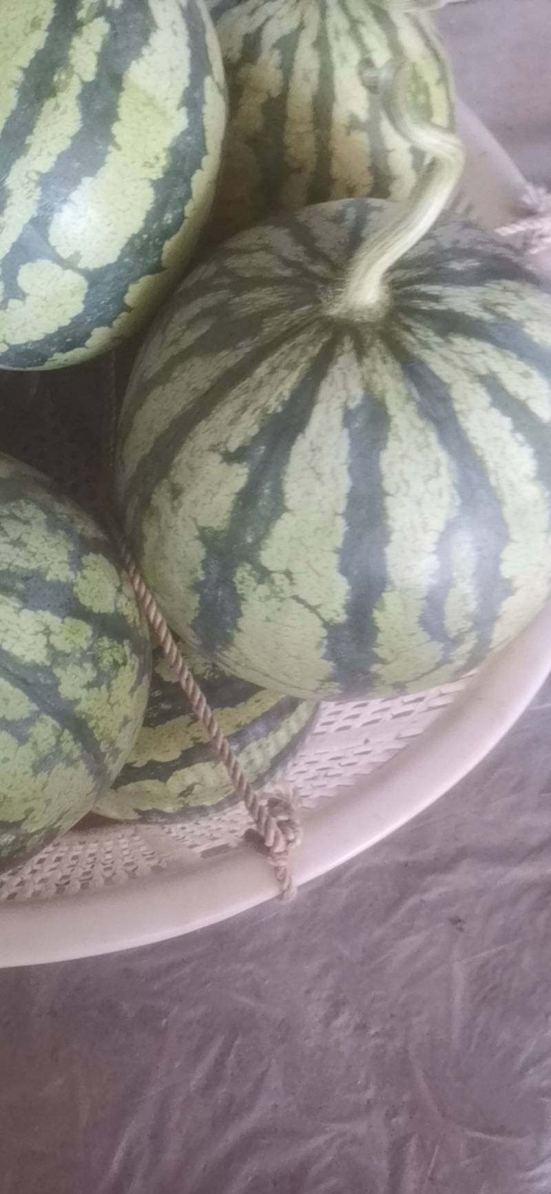 麒麟西瓜皮薄脆甜