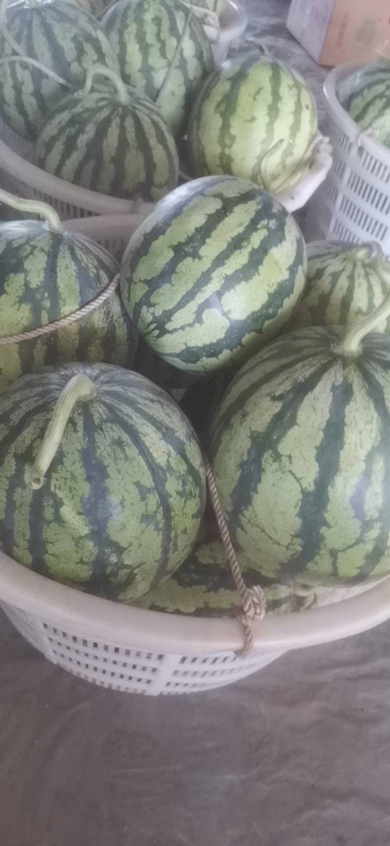 麒麟西瓜皮薄脆甜