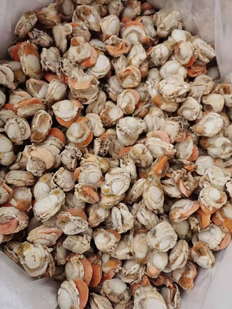 扇贝肉无泥无沙，工厂直发一手货源，量大从优，大量上市捞汁