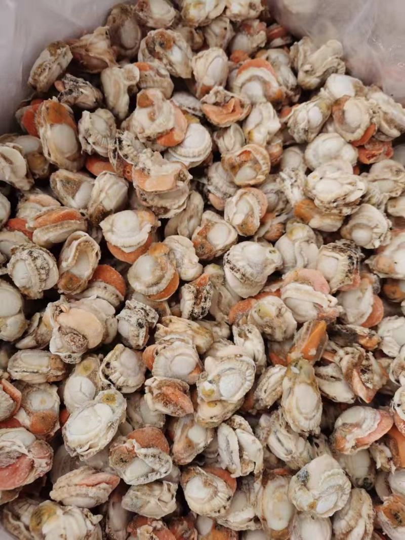 扇贝肉无泥无沙，工厂直发一手货源，量大从优，大量上市捞汁
