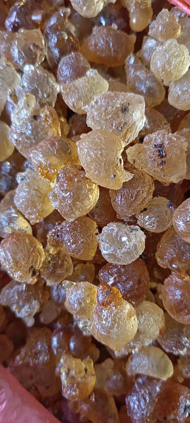沂蒙山区里的优质手捡出来的自然桃胶，零售批发，产地直发