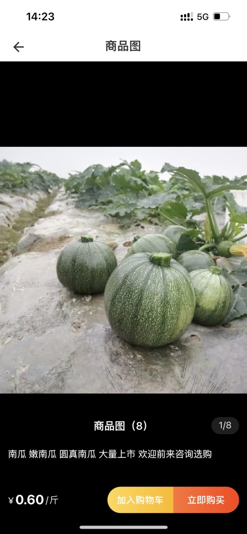 贝贝南瓜湖北南瓜嫩南瓜圆真南瓜产地直供保质保量