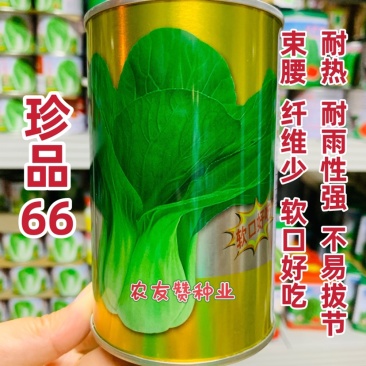 晓富珍品66青梗菜种子耐热耐雨束腰纤维少青菜种子软口好吃