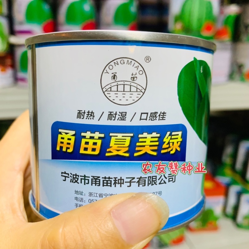 甬苗夏美绿青梗菜种子耐热耐湿口感佳卖相好，品质柔嫩