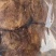 纯猪肉片纯猪肉条好质量猪肉条猪肉片批