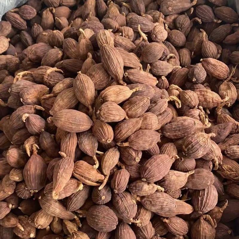 【精品草果】5斤起批云南草果剪把草果草果皮草果仁