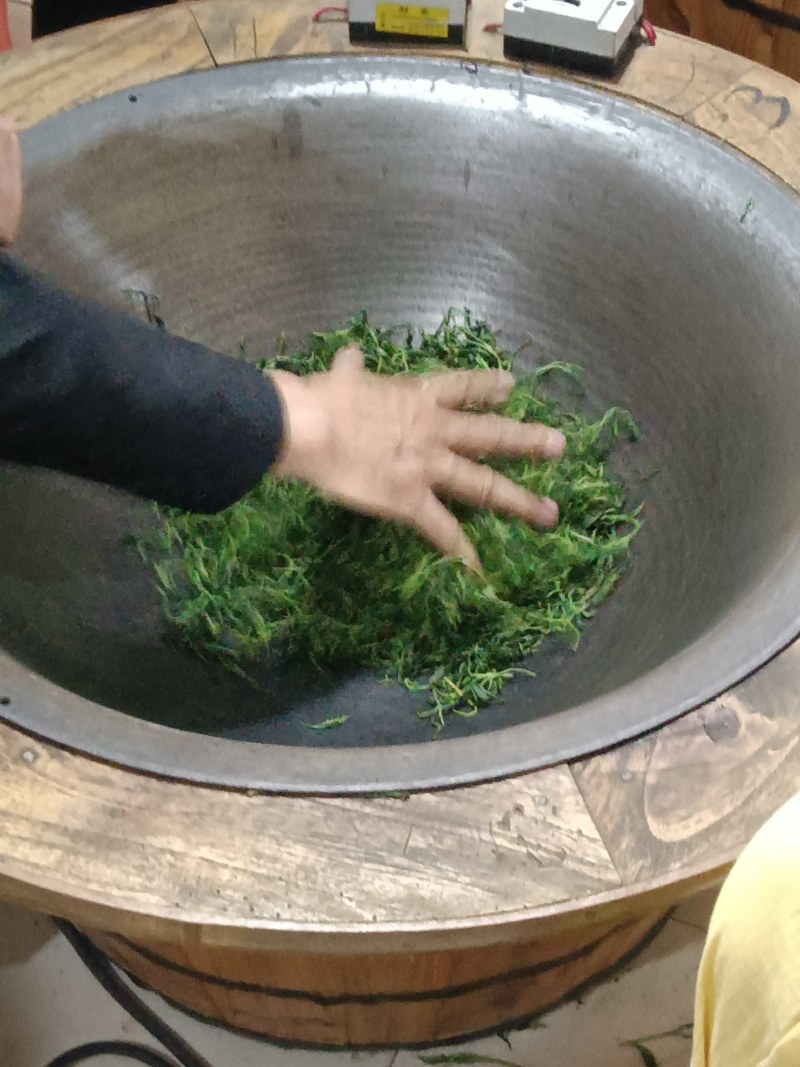 【口粮茶】厂家直批贵州毛峰/香茶毛峰/500g装包邮