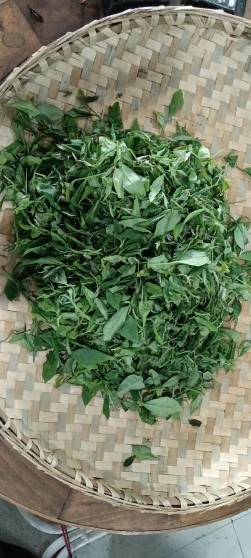 【口粮茶】厂家直批贵州毛峰/香茶毛峰/500g装包邮