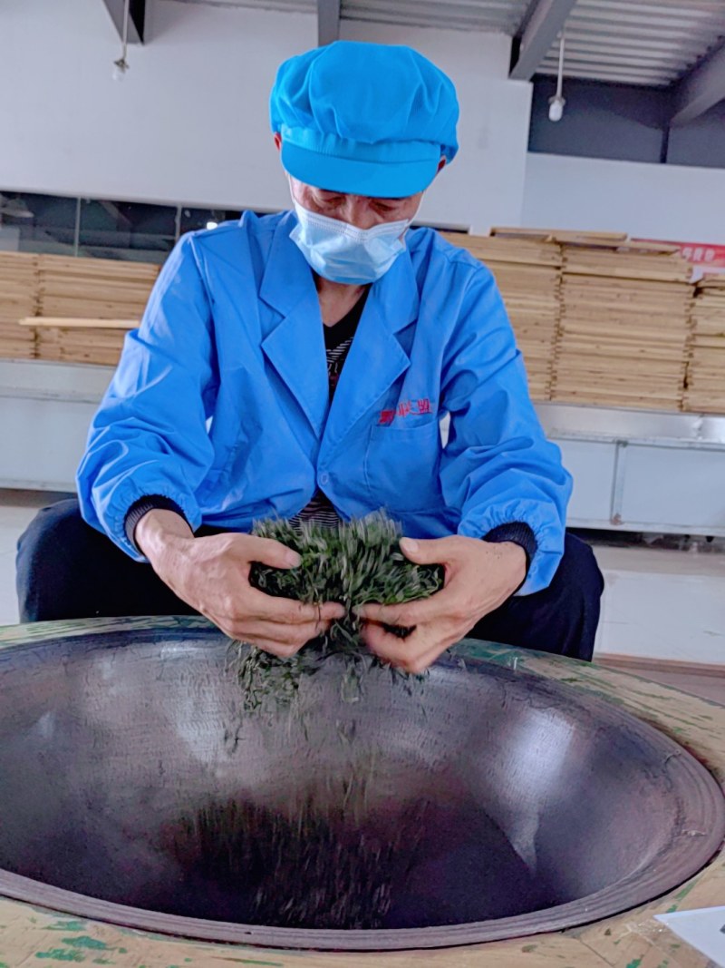 【口粮茶】厂家直批贵州毛峰/香茶毛峰/500g装包邮