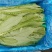 精品油菜