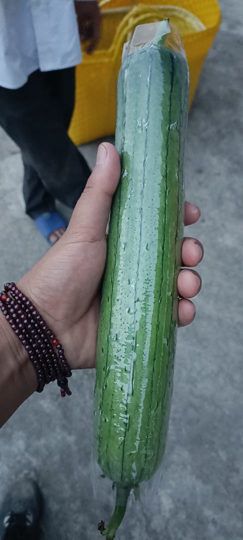 丝瓜，套水瓜，无棱丝瓜，香水瓜，油皮丝瓜