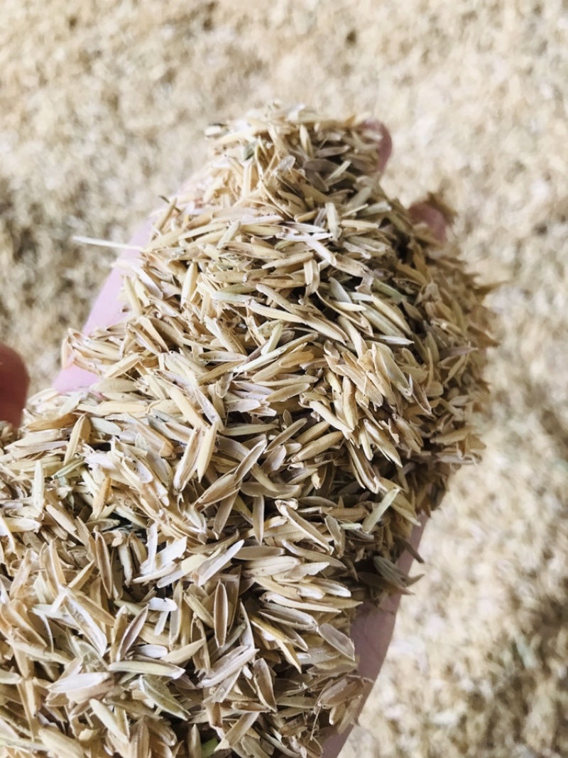 推荐压缩稻壳谷壳打包稻壳可开票全国发货