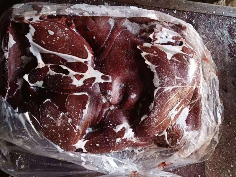 母猪肝