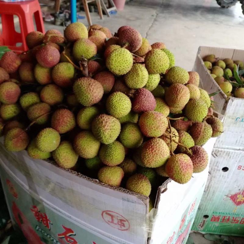 荔枝