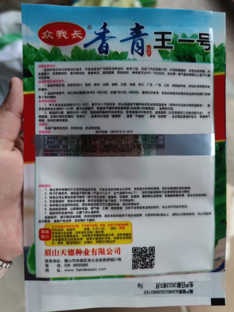 香青w一号莴笋种子5克，圆叶，抗热耐寒耐抽苔，绿肉浓香