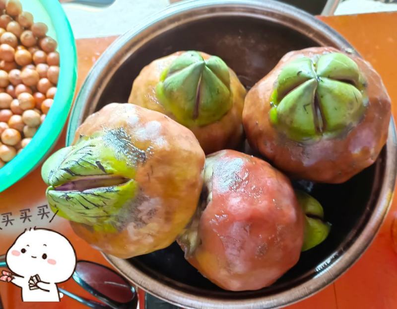 新鲜芡实苏芡芡实中特大号