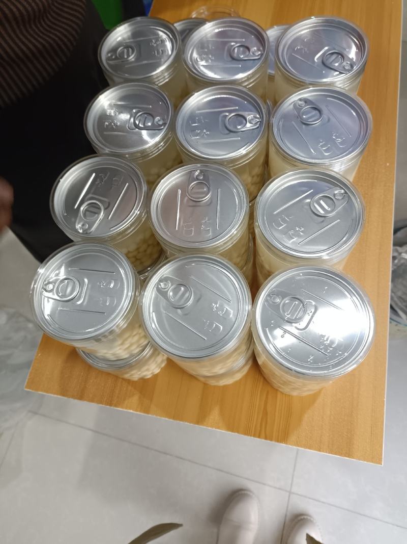 新鲜芡实苏芡芡实中特大号
