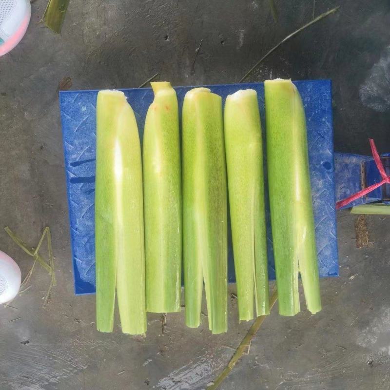 茭白量大货源充足产地供货可以产地看货满意再买需要联系