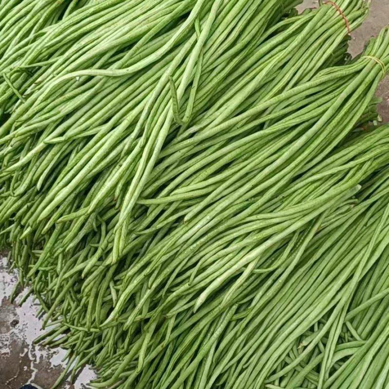 小金豆长沙货3块，武汉货3到4块，杭州货4-5块，扁7块