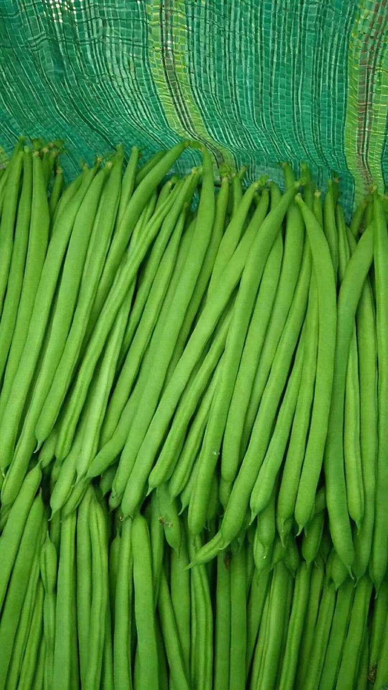 小金豆长沙货3块，武汉货3到4块，杭州货4-5块，扁7块