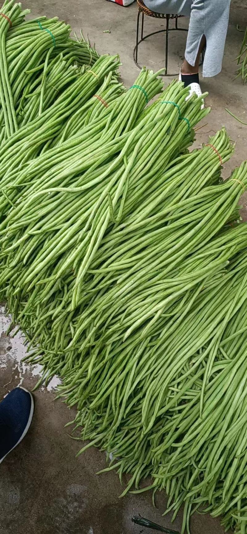 小金豆长沙货3块，武汉货3到4块，杭州货4-5块，扁7块