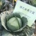豫艺水果甘蓝种子囗感好球形扁圆整齐一致亩产12000斤效