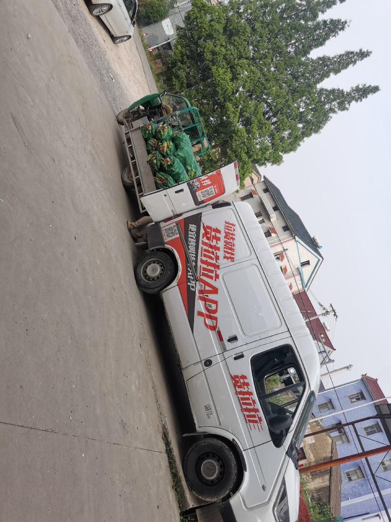 慈溪西三本地玉米货拉拉发车