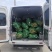 慈溪西三本地玉米货拉拉发车