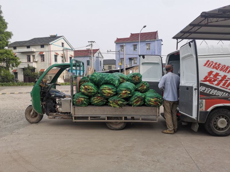 慈溪西三本地玉米货拉拉发车