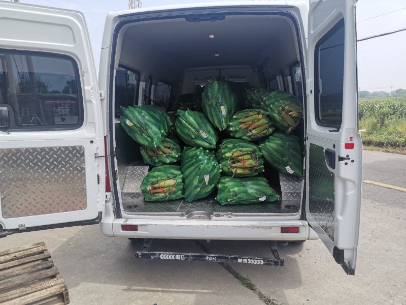 慈溪西三本地玉米货拉拉发车