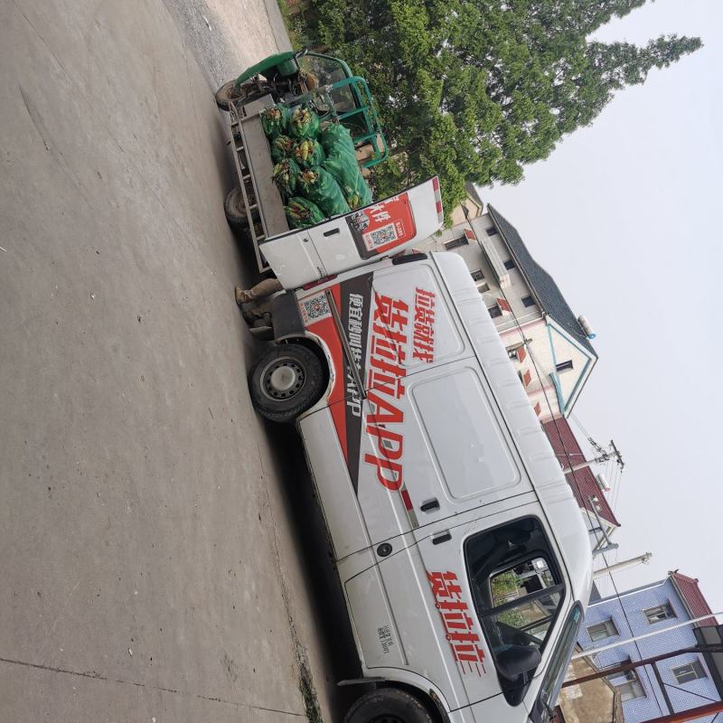 慈溪西三本地玉米货拉拉发车