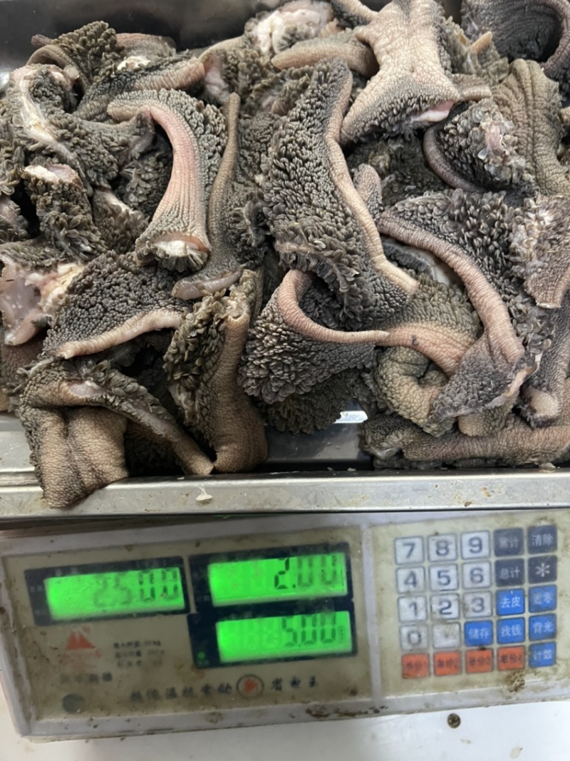 羊肚仁（老北京爆肚仁，每只羊只有100克）