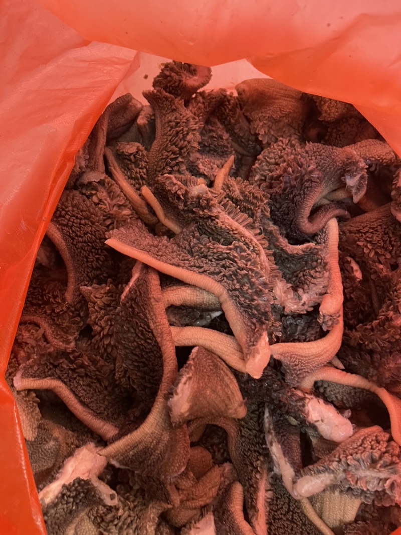羊肚仁（老北京爆肚仁，每只羊只有100克）